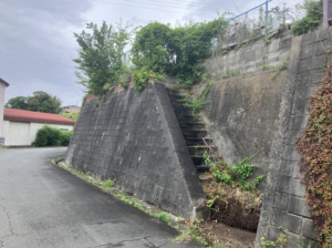 豊橋市一色町、土地の画像です