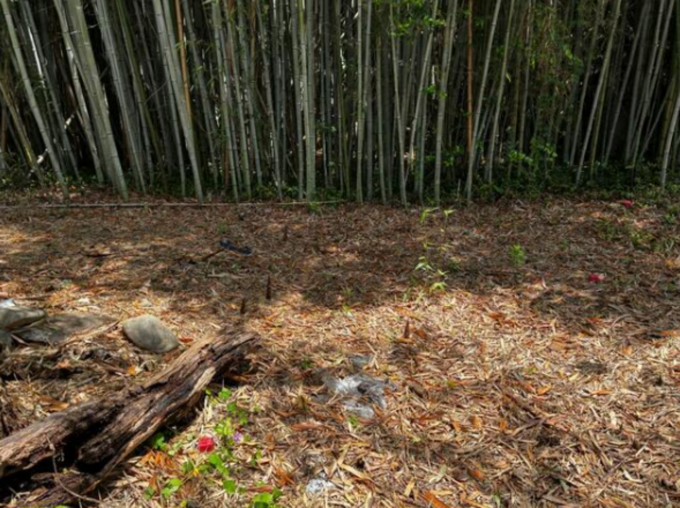 豊橋市野依町、土地の画像です