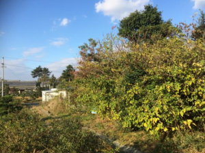 豊橋市豊栄町、土地の画像です