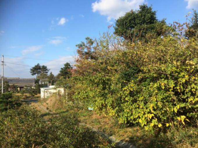 豊橋市豊栄町、土地の画像です