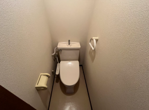 相模原市中央区水郷田名、中古マンションのトイレ画像です