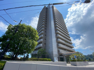 相模原市中央区水郷田名、中古マンションの外観画像です