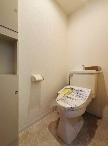 相模原市中央区水郷田名、中古マンションのトイレ画像です