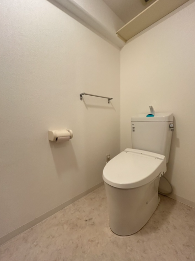 相模原市中央区上溝、中古マンションのトイレ画像です