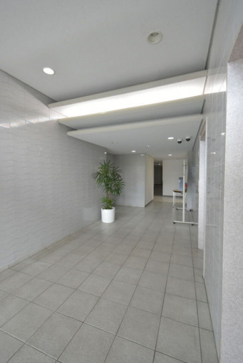 相模原市中央区水郷田名、中古マンションのエントランス画像です