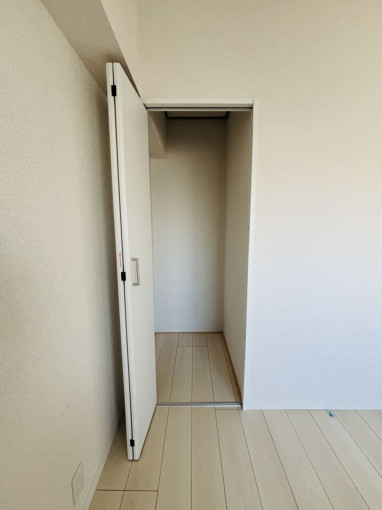 新宿区北新宿、中古マンションの収納画像です