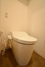 相模原市中央区清新、中古マンションのトイレ画像です