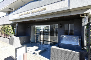 相模原市中央区清新、中古マンションのエントランス画像です