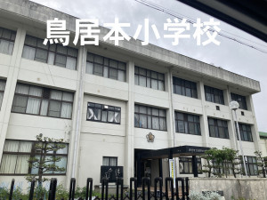 彦根市鳥居本町、土地の画像です