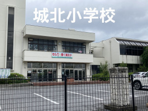 彦根市松原、土地の画像です