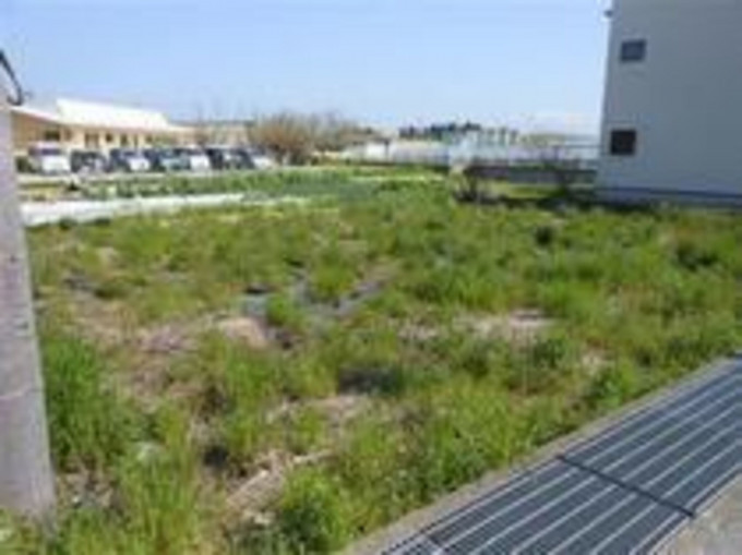 彦根市八坂町、土地の外観画像です