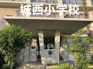 彦根市栄町、土地の画像です