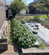 彦根市甘呂町、中古一戸建ての画像です