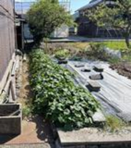彦根市甘呂町、中古一戸建ての画像です
