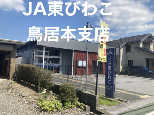 彦根市鳥居本町、土地の画像です