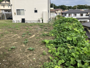 いわき市江名、土地の画像です