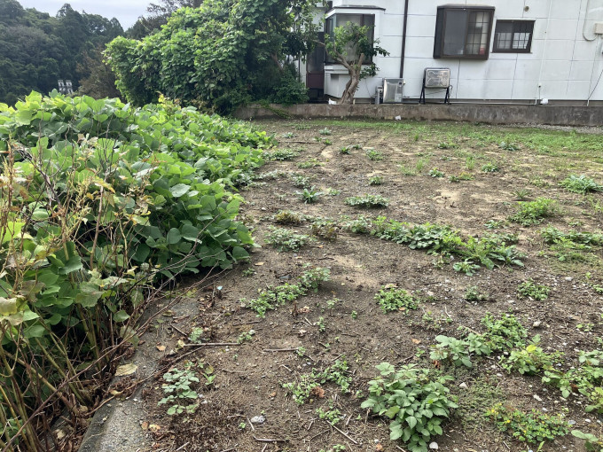 いわき市江名、土地の画像です