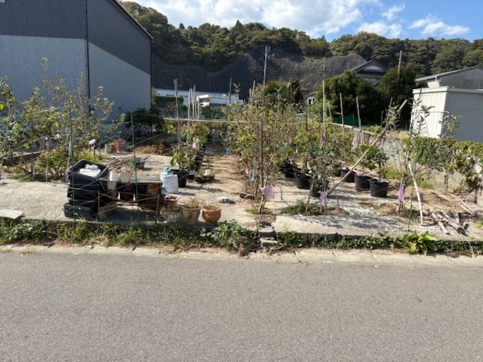 いわき市折戸、土地の画像です