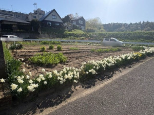 いわき市勿来町、土地の画像です