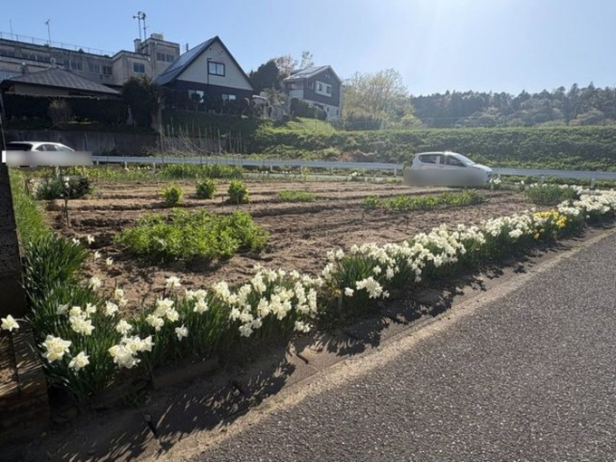 いわき市勿来町、土地の画像です