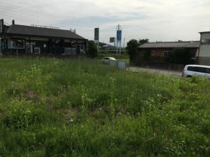 いわき市錦町、土地の画像です