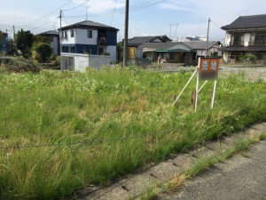 いわき市錦町、土地の画像です