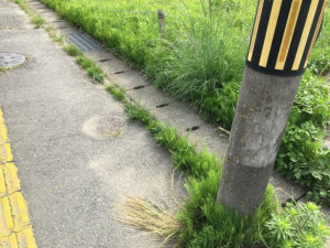 いわき市錦町、土地の画像です