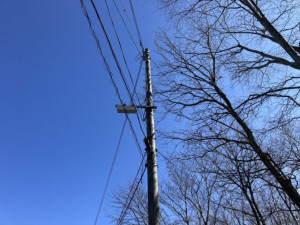 いわき市金山町、土地の画像です