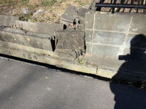 いわき市金山町、土地の画像です