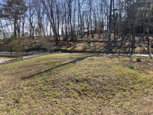いわき市金山町、土地の画像です