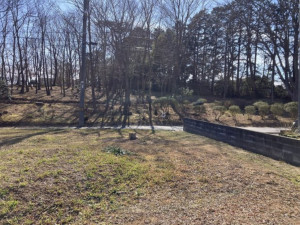 いわき市金山町、土地の画像です