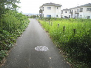 いわき市植田町、土地の画像です