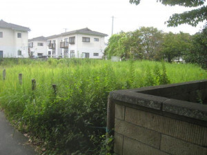 いわき市植田町、土地の画像です