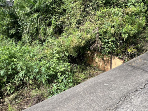 いわき市泉町、土地の画像です