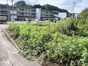 いわき市泉町、土地の画像です