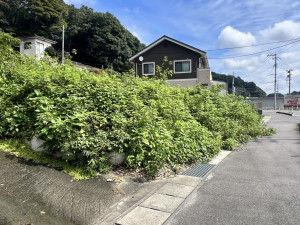 いわき市泉町、土地の画像です