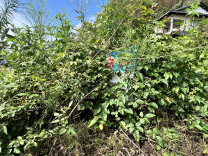 いわき市泉町、土地の画像です