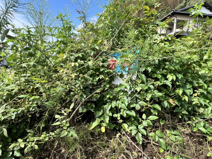 いわき市泉町、土地の画像です