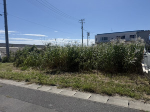 いわき市江名、土地の画像です
