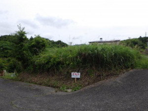 高萩市大字上手綱、土地の画像です