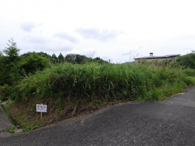 高萩市大字上手綱、土地の画像です