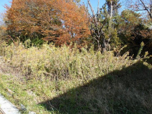 高萩市大字上手綱、土地の画像です