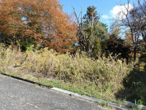 高萩市大字上手綱、土地の画像です