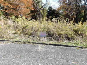 高萩市大字上手綱、土地の画像です