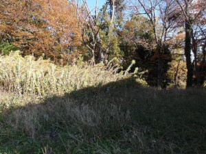 高萩市大字上手綱、土地の画像です