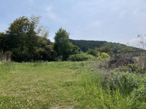 高萩市大字石滝、土地の画像です