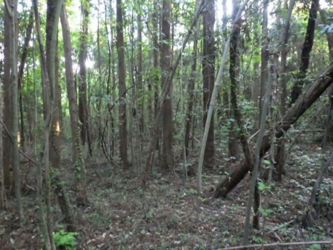 北茨城市中郷町、土地の画像です