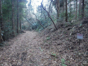 北茨城市中郷町、土地の画像です