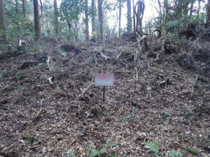 北茨城市中郷町、土地の画像です