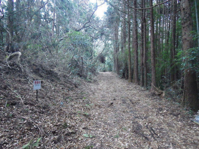 北茨城市中郷町、土地の画像です